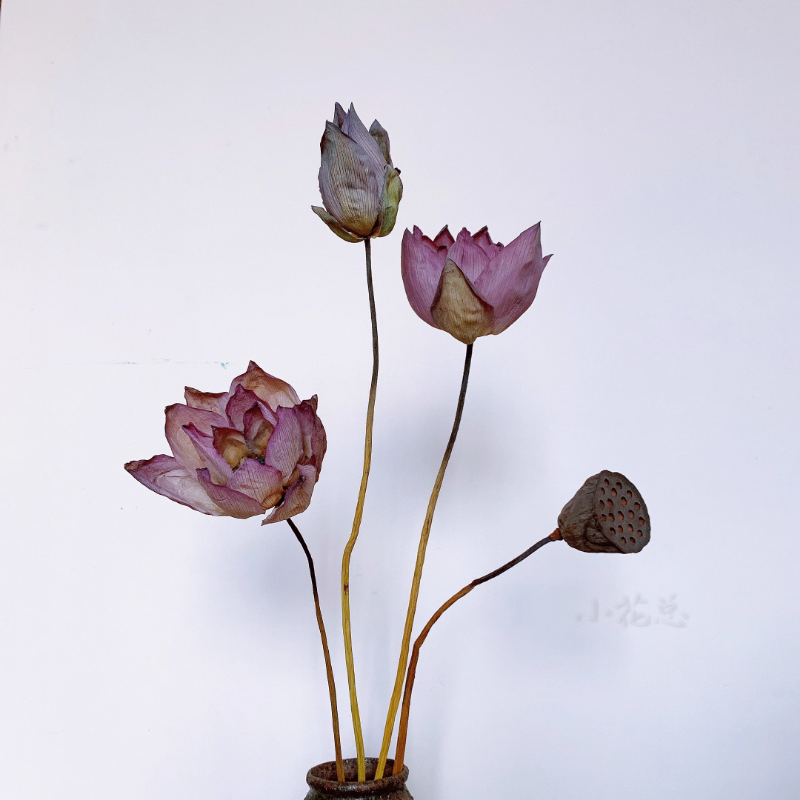 Natural Dried Real Lotus Flower Floral Supplies Store