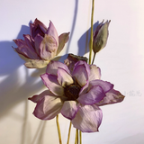 Load image into Gallery viewer, Natural Dried Real Lotus Flower
