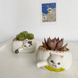 Load image into Gallery viewer, Decorative Cute Cat Tiny Succulent Pot