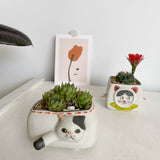 Load image into Gallery viewer, Decorative Cute Cat Tiny Succulent Pot