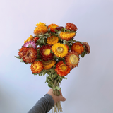 Load image into Gallery viewer, Natural Dried Flowers 20-head Daisy Bouquet