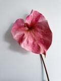 Load image into Gallery viewer, Giant Artificial Anthurium Lily Flowers