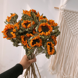 Load image into Gallery viewer, Natural Real Dried Sunflower with Stems