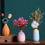Load image into Gallery viewer, Mini Colorful Ceramic Vase with Dried Flowers