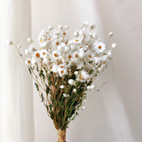 Load image into Gallery viewer, Natural Dried White Daisy Bouquet 100 Head