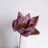 Load image into Gallery viewer, Natural Dried Real Lotus Flower