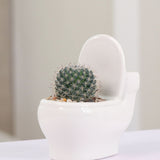 Load image into Gallery viewer, Set of 2 Toilet Shaped Succulent Cactus Vase