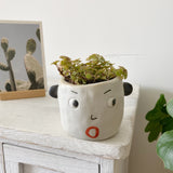 Load image into Gallery viewer, Handmade Ceramic Face Succulents Pot