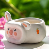 Load image into Gallery viewer, Set of 4 Cute Piggy Miniature Succulent Pot