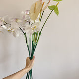 Load image into Gallery viewer, Long Floral Vials Floral Water Tubes