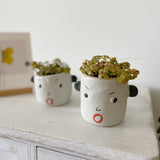 Load image into Gallery viewer, Handmade Ceramic Face Succulents Pot