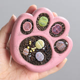 Load image into Gallery viewer, Cute Cat Paw 5 Planter Pot for Succulents