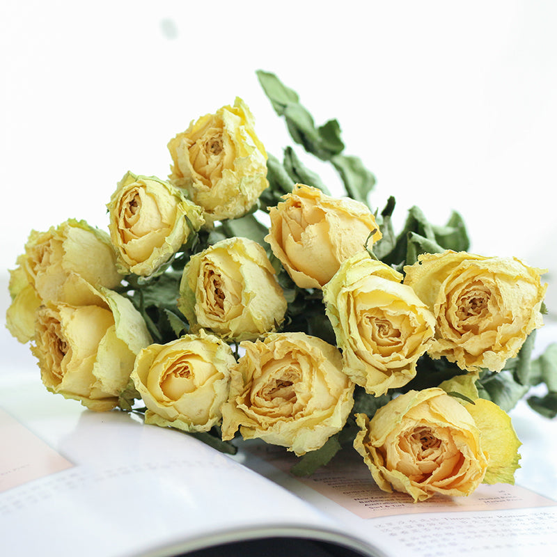 Real Dried Roses 10 Stems – Floral Supplies Store