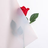 Load image into Gallery viewer, Translucent Frosted Waterproof Florist Paper Pack 20 (58x58cm)