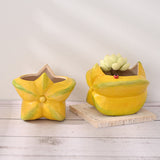 Load image into Gallery viewer, Starfruit Mini Size Ceramic Flower Pot