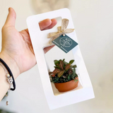 Load image into Gallery viewer, Succulent Plant Packaging Gift Box