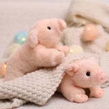 Load image into Gallery viewer, Adorable Small Pig Plush Toy 25cm