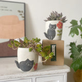 Load image into Gallery viewer, Cute Black Cat Ceramic Pot for Succulents
