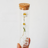 Load image into Gallery viewer, Dried Preserved Flower In Glass Test Tube