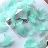 Load image into Gallery viewer, 500pcs Colorful Feather Gift Box Fillings