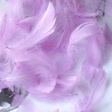 Load image into Gallery viewer, 500pcs Colorful Feather Gift Box Fillings