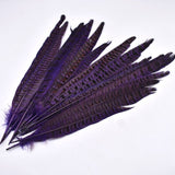 Load image into Gallery viewer, 20pcs Natural Pheasant Tail Feathers for Crafts 10-12inch