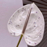 Load image into Gallery viewer, Self-adhesive Flat Rhinestones for Flower Decoration
