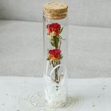 Load image into Gallery viewer, Dried Preserved Flower In Glass Test Tube