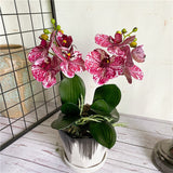 Load image into Gallery viewer, 4 Heads Fake Orchid Branch Artificial Flower