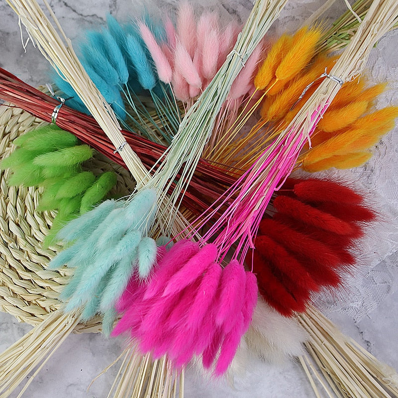 60pcs Natural Dried Bunny Rabbit Grass – Floral Supplies Store
