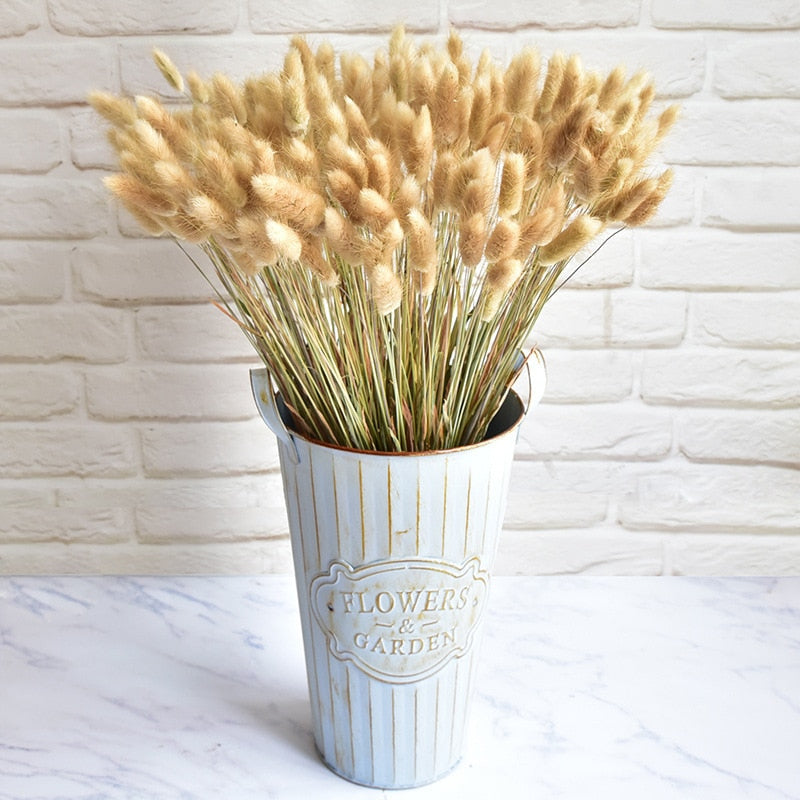 60pcs Natural Dried Bunny Rabbit Grass – Floral Supplies Store