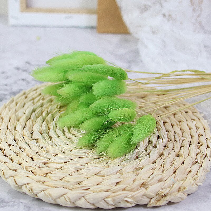 60pcs Natural Dried Bunny Rabbit Grass – Floral Supplies Store