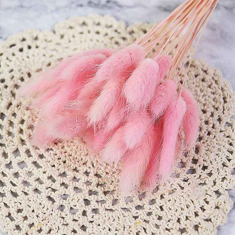 60pcs Natural Dried Bunny Rabbit Grass – Floral Supplies Store