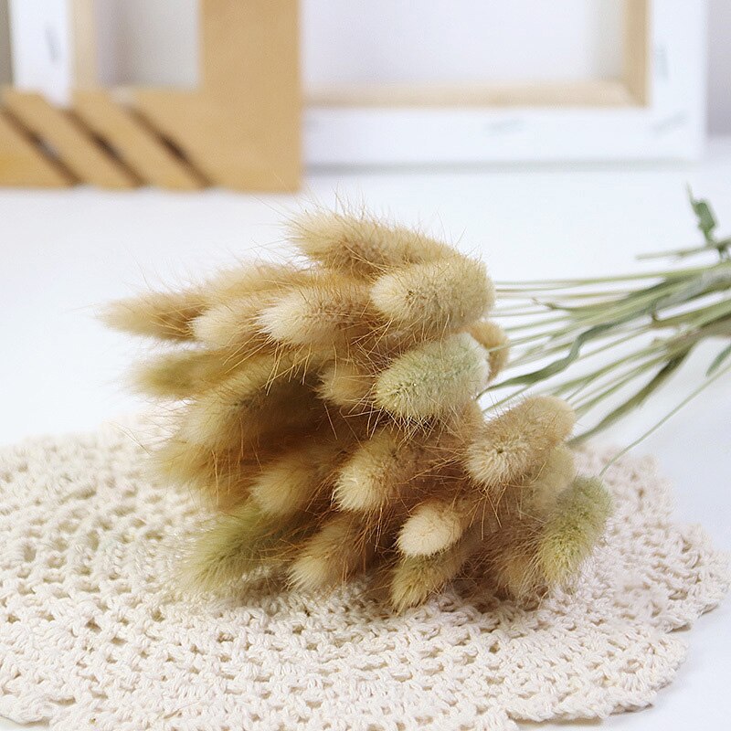 60pcs Natural Dried Bunny Rabbit Grass – Floral Supplies Store