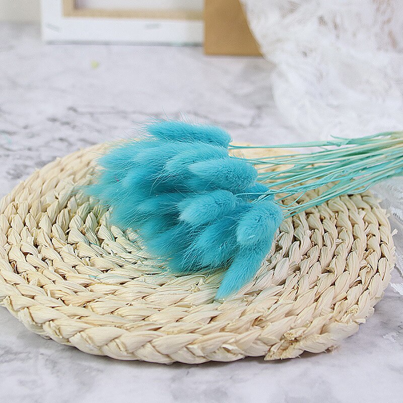 60pcs Natural Dried Bunny Rabbit Grass – Floral Supplies Store