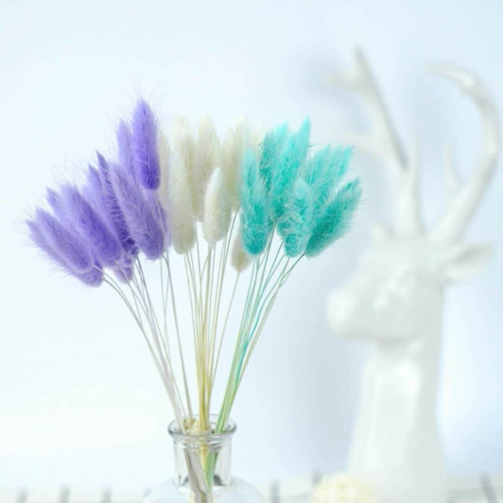 60pcs Natural Dried Bunny Rabbit Grass – Floral Supplies Store
