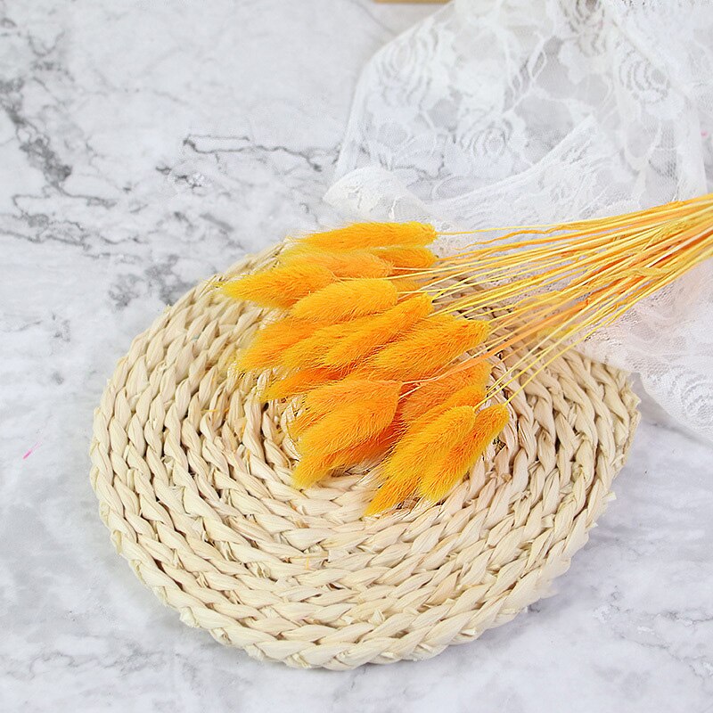 60pcs Natural Dried Bunny Rabbit Grass – Floral Supplies Store