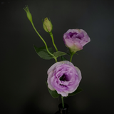 Load image into Gallery viewer, Artificial Lisianthus Silk Flower Long Stem