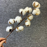 Load image into Gallery viewer, Decorative Real Dried Cotton Stems