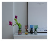 Load image into Gallery viewer, Gradient Colored Glass Vases Flower Vase Home Decor