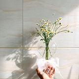 Load image into Gallery viewer, Heart Shape Transparent Glass Vase Flower Plant Pot