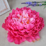 Load image into Gallery viewer, 10pcs Artificial Peony Flower Heads for DIY Decoration