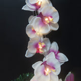 Load image into Gallery viewer, Artificial Butterfly Orchid Garland LED Light String 16.4FT 20LEDS