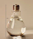 Load image into Gallery viewer, Light Bulb Transparent Glass Vase