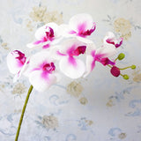 Load image into Gallery viewer, Artificial Butterfly Orchids Fake Flower