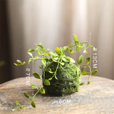 Load image into Gallery viewer, decor moss ball