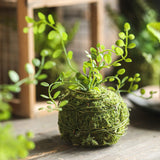 Load image into Gallery viewer, Decorative Artificial Dried Moss Balls with Vine