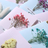 Load image into Gallery viewer, Dried Flower Blank Greeting Cards Pack 20