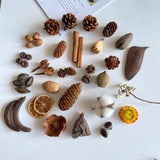 Load image into Gallery viewer, Dried Flowers Dried Fruit Pine Cone Decoration Kit