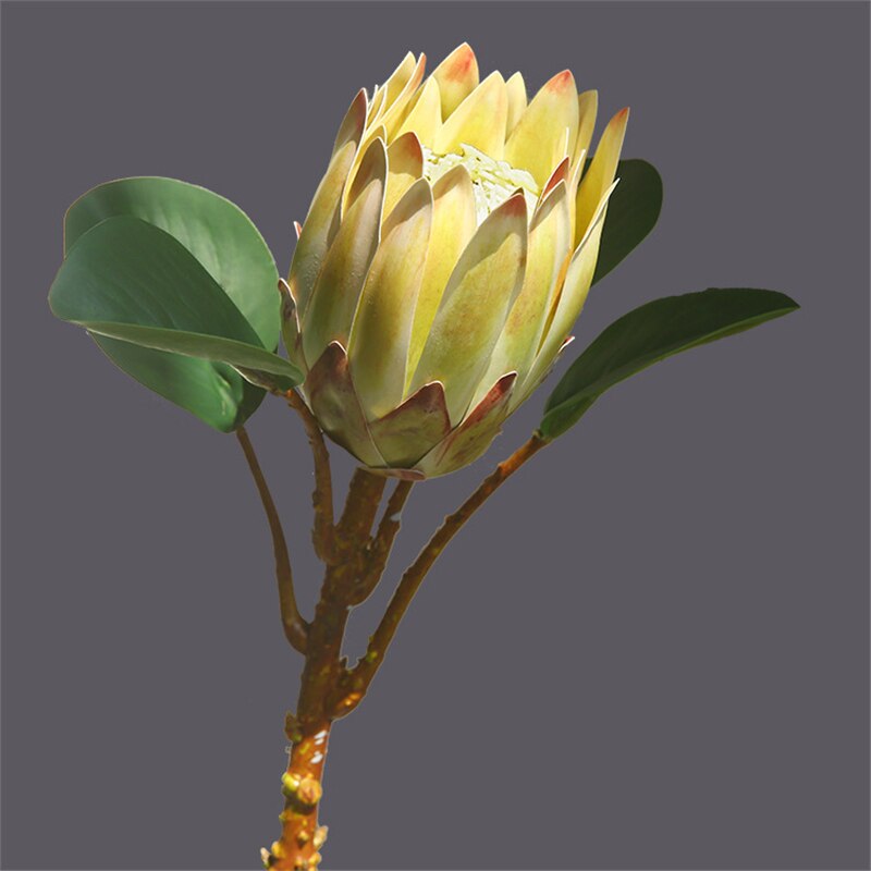 Protea Cynaroides Large Artificial Flower Floral Supplies Store